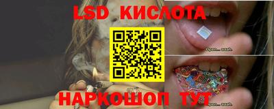 PSILOCYBIN Гусь-Хрустальный