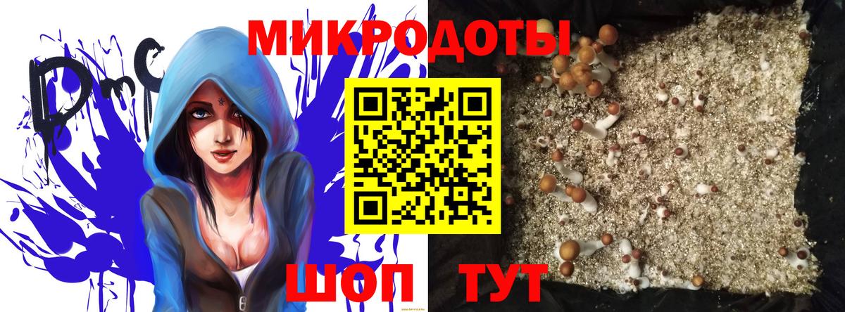 Псилоцибиновые грибы Psilocybe  Галлюциногенные грибы Magic Shrooms  Нягань  Вход с VPN 